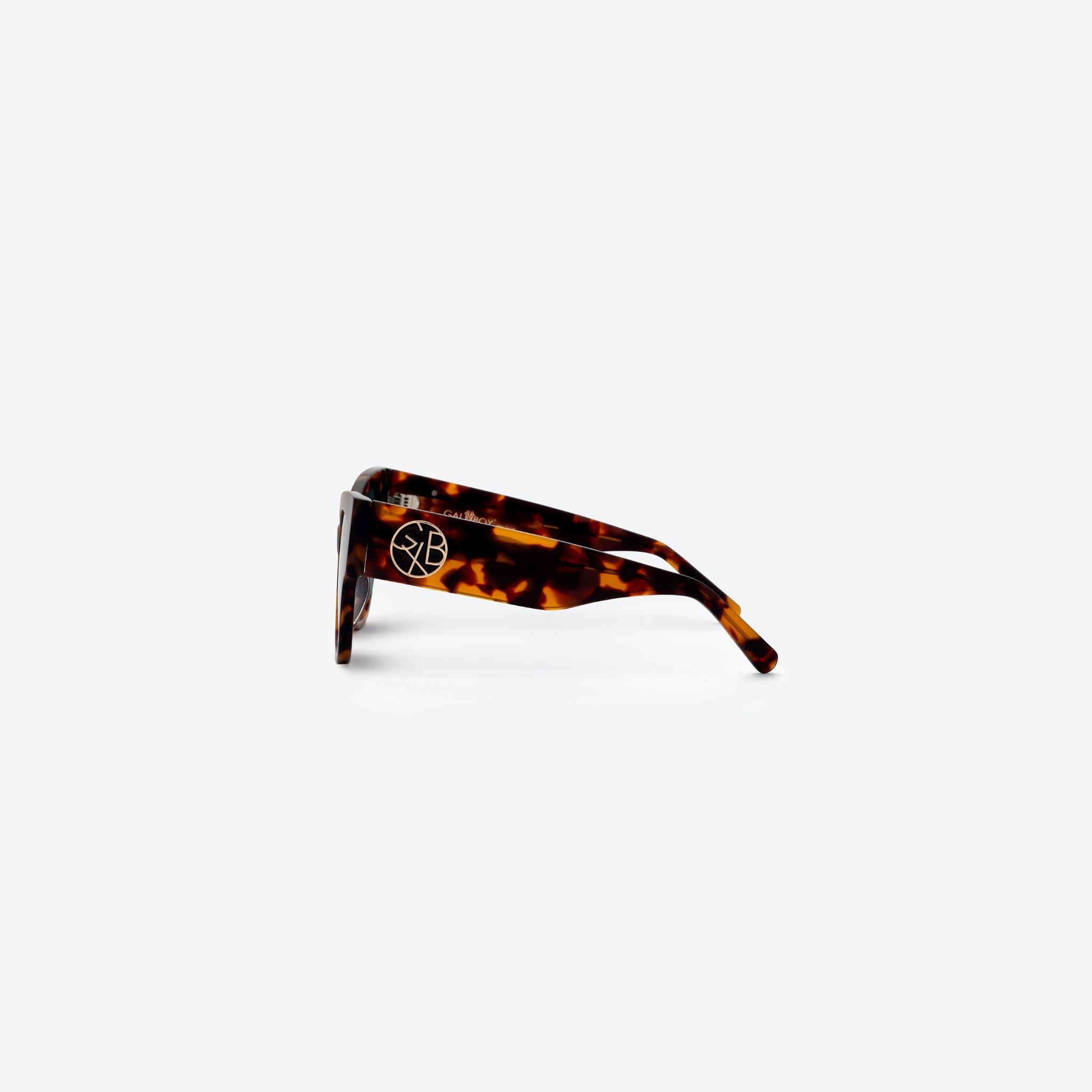 سلحفاة الشمس كلوي