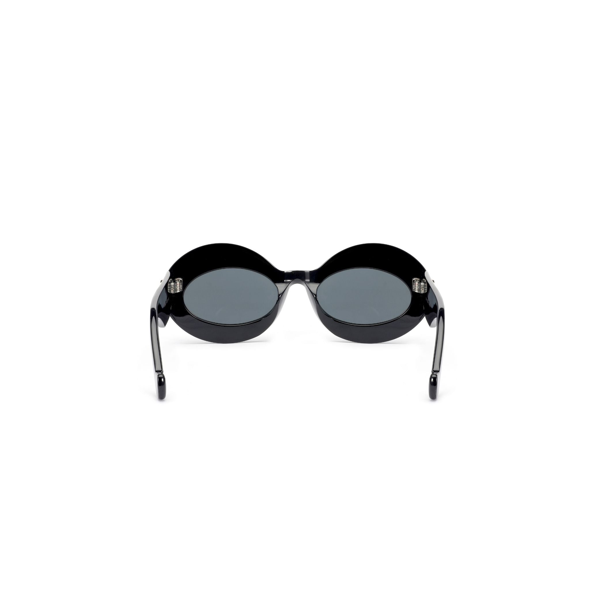 زهرة التوليب الشمسية